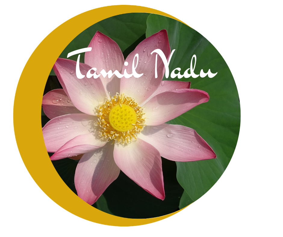 yoga méditation voyage inde