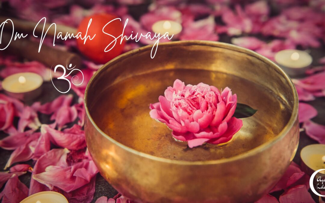 Soirée Mantras chantés – Yoga, Méditation & Chants sacrés indiens à Vaugneray